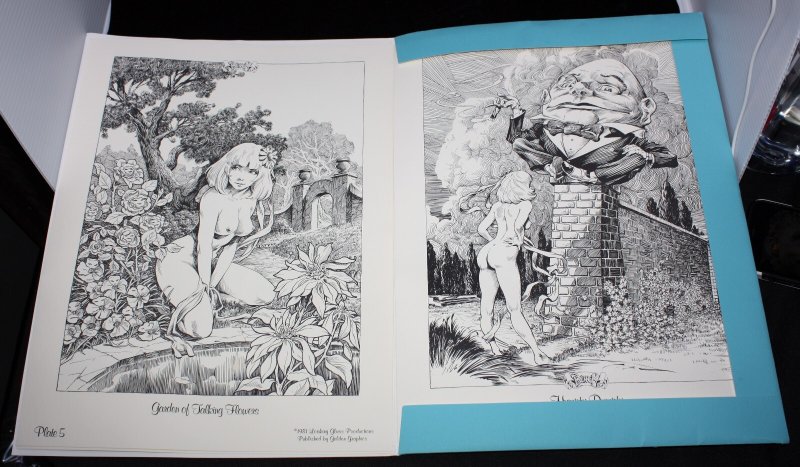 Frank Brunner 'Alice Through the Looking Glass' Portfolio - Signed - 1981