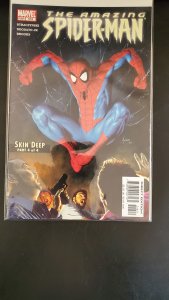 The Amazing Spider-Man #518 (2005)