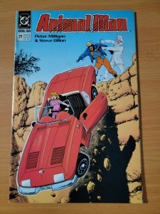 Animal Man #29 ~ NEAR MINT NM ~ 1990 DC Comics
