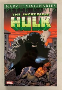 Marvel Visionaries Incredible Hulk Vol 1 2005 Paperback Peter David 