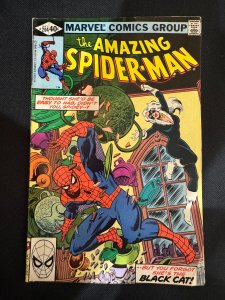 The Amazing Spider-Man #204 (1980)