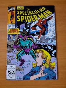 Spectacular Spider-Man #164 Direct Market Edition ~ NEAR MINT NM ~ 1990 Marvel