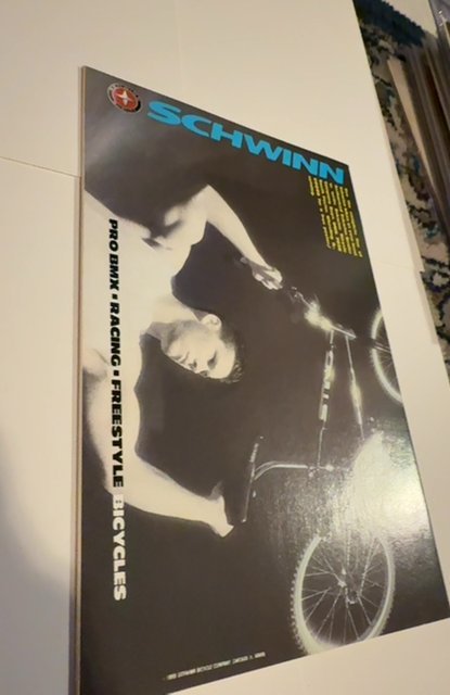 The Sensational She-Hulk #1 (1989) 1st solo 80s series