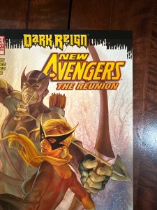 New Avengers: The Reunion #1 Variant Cover (2009)