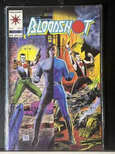 Bloodshot #5 (1993)