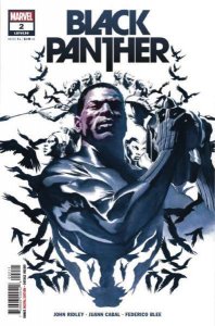 Black Panther (2022 series)  #2, NM + (Stock photo)