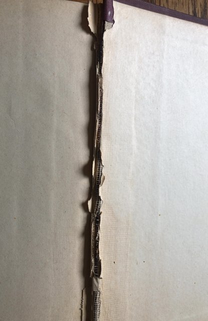 The hunchback of Notre Dame, 386p,no date 1850s