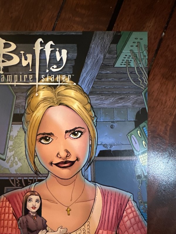 Buffy the Vampire Slayer Season Eight #25 Variant Cover (2009)