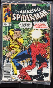 The Amazing Spider-Man #246 (1983) Spider-Man