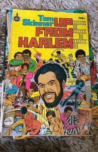 Up from Harlem (1973)  