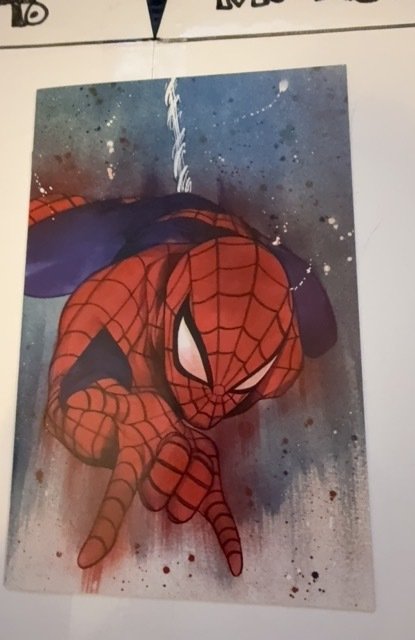 The Amazing Spider-Man #46 Momoko Cover B (2020)