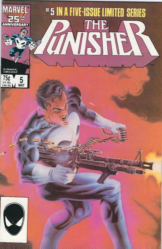 the punisher mini series #2,3,4,5 van/nm collection $25.00