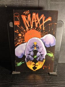 The Maxx #1 (1993)