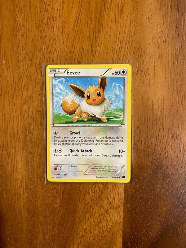 pokemon trading card game eevee 2017 Pokemon Sun & Moon Base Set Booster Box Factor Sealed – Domino City  Gaming main image 1