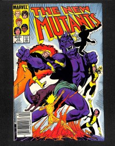 The New Mutants #14 (1984)