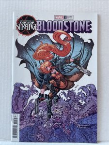 Death Of Doctor Strange : Bloodstone #1 Variant