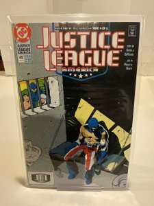Justice League America #49  1991  9.0 (our highest grade)