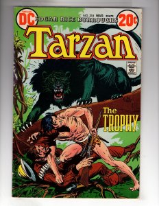 Edgar Rice Burroughs' Tarzan #218 (1973) / ECA5X