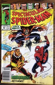 The Spectacular Spider-Man #161 (1990)