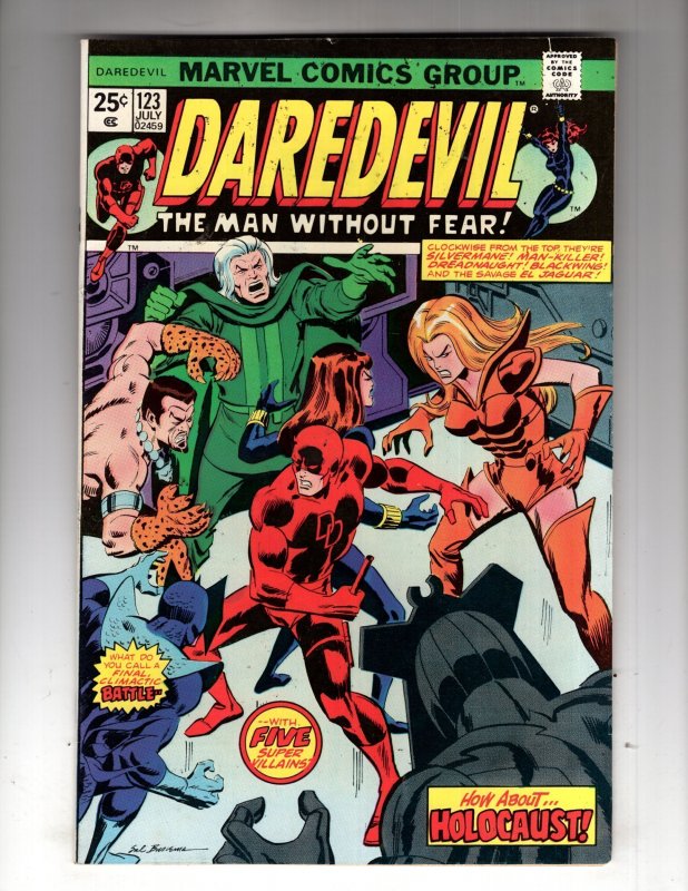 Daredevil #123 (1975) VF+ Black Widow ~ Bronze Marvel   / HCA1