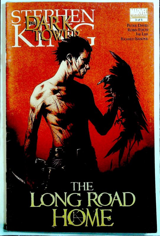 Dark Tower: The Long Road Home #3 (2008)