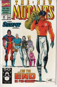 The New Mutants #99 (1991)  1st Feral, Shatterstar