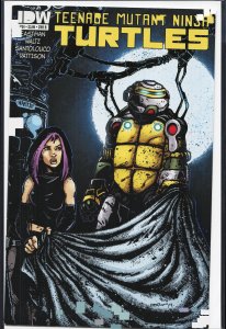 Teenage Mutant Ninja Turtles #34 Cover B (2014)