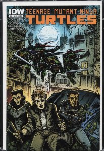 Teenage Mutant Ninja Turtles #33 Cover B (2014)