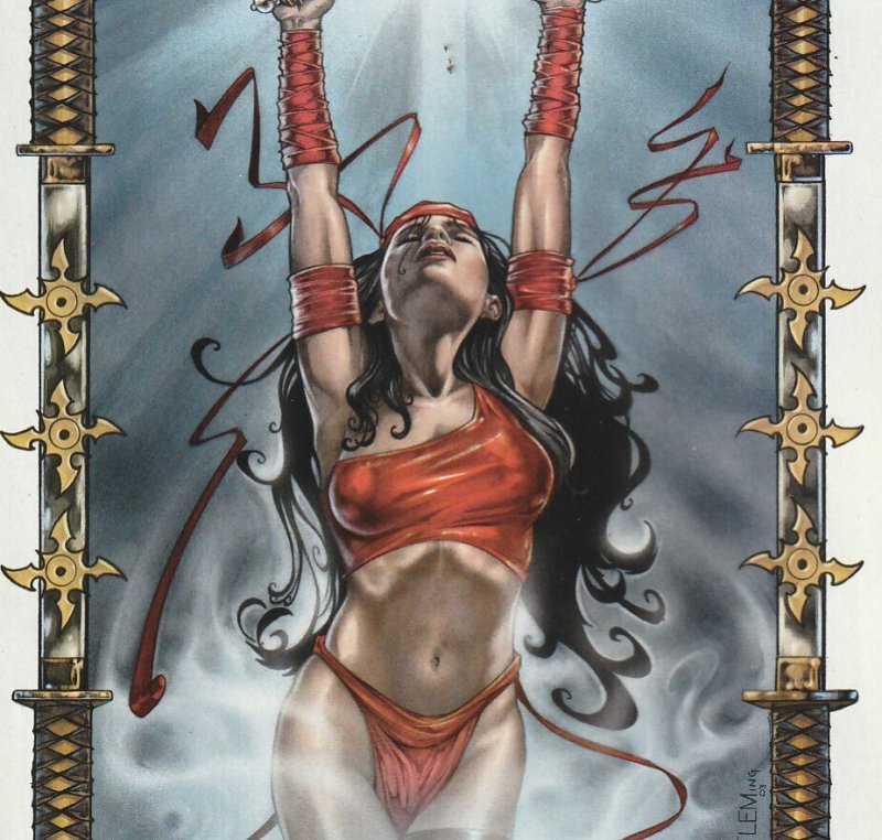 Elektra #30 (2004)