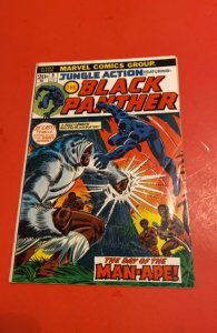 Jungle Action featuring Black Panther #5 1973 Marvel Comics 1st solo book Apps