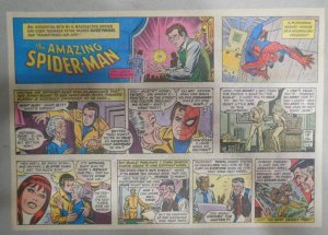 Spiderman Sunday by Stan Lee & John Romita from 11/6/1977 Size: 11 x 15 inches