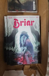 Briar #1 (2022)