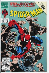 Spider-Man #29 (1992) Spider-Man