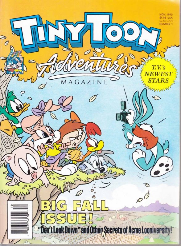 Tiny Toon Adventures #1 (Newsstand) (2nd) FN ; DC |