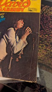 David Cassidy #10 (1973)