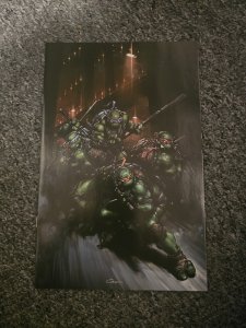 Teenage Mutant Ninja Turtles #13 Clayton Crain 1:50 Incentive NM