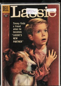 Lassie #42