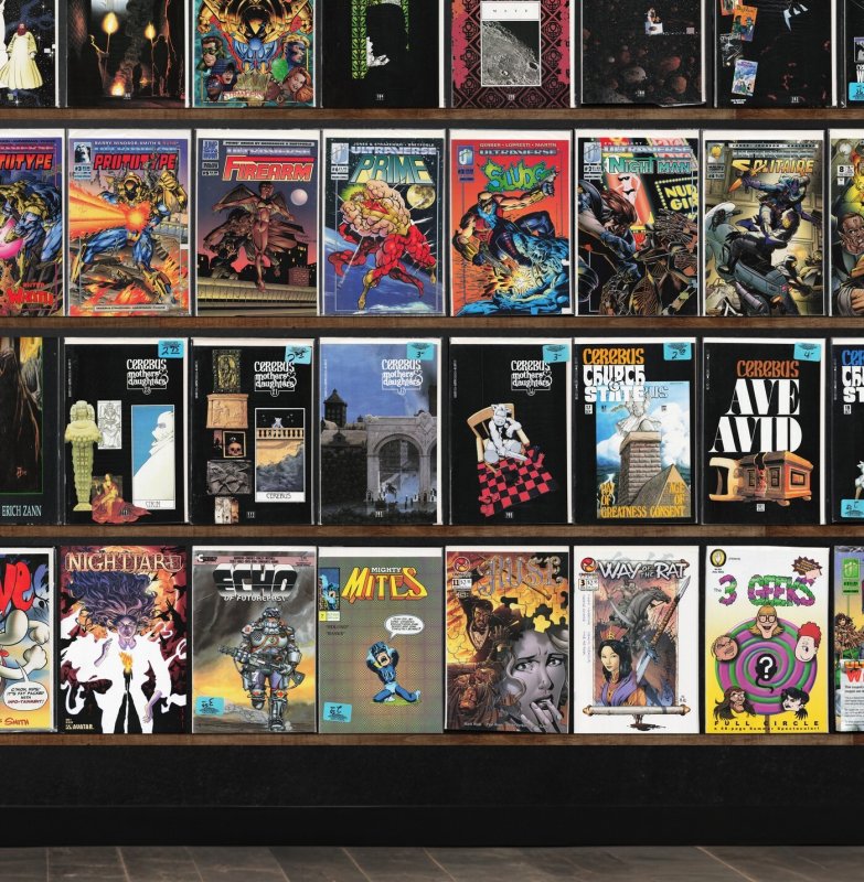 Huge Lot 150+ Comics with Cerebus (1977 2004 Aardvark Vanaheim) & More!