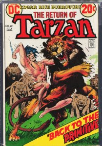 Edgar Rice Burroughs' Tarzan #221 (1973)