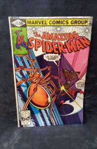 The Amazing Spider-Man #213 Direct Edition (1981)