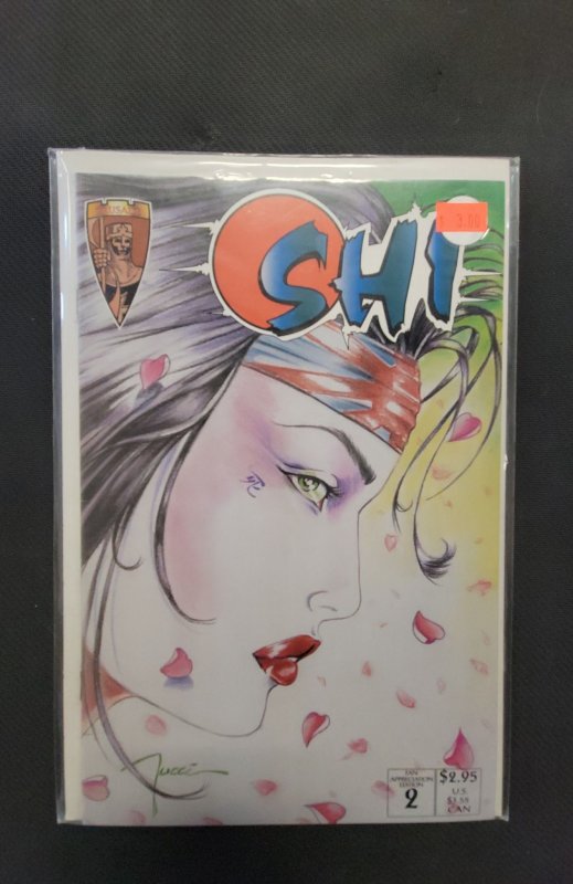Shi: The Way of the Warrior #2 Fan Appreciation Cover (1994)