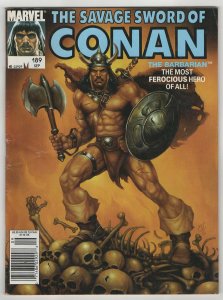 The Savage Sword of Conan #189 Mike Docherty FN+