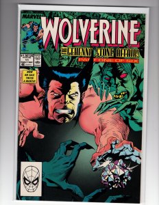 Wolverine #11 (1989)     / HCA5