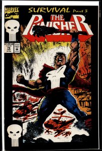The Punisher #79 (1993) Punisher