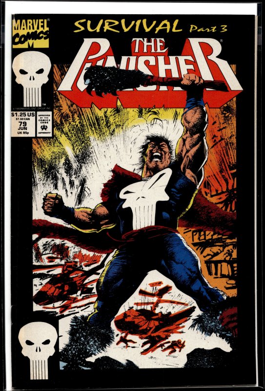 The Punisher #79 (1993) Punisher
