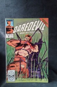 Daredevil #262 (1989)