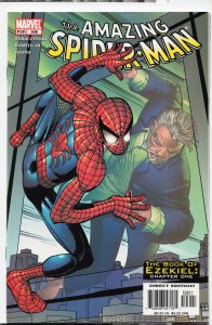 The Amazing Spider-Man #506 (2004)