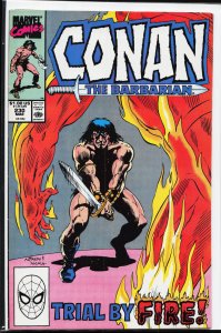 Conan the Barbarian #230 (1990) Conan