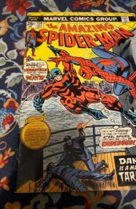 The Amazing Spider-Man #134 (1974)key 1st tarantula/2nd punisher
