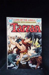 Edgar Rice Burroughs Tarzan #226 1973 Gold Key Comic Book
